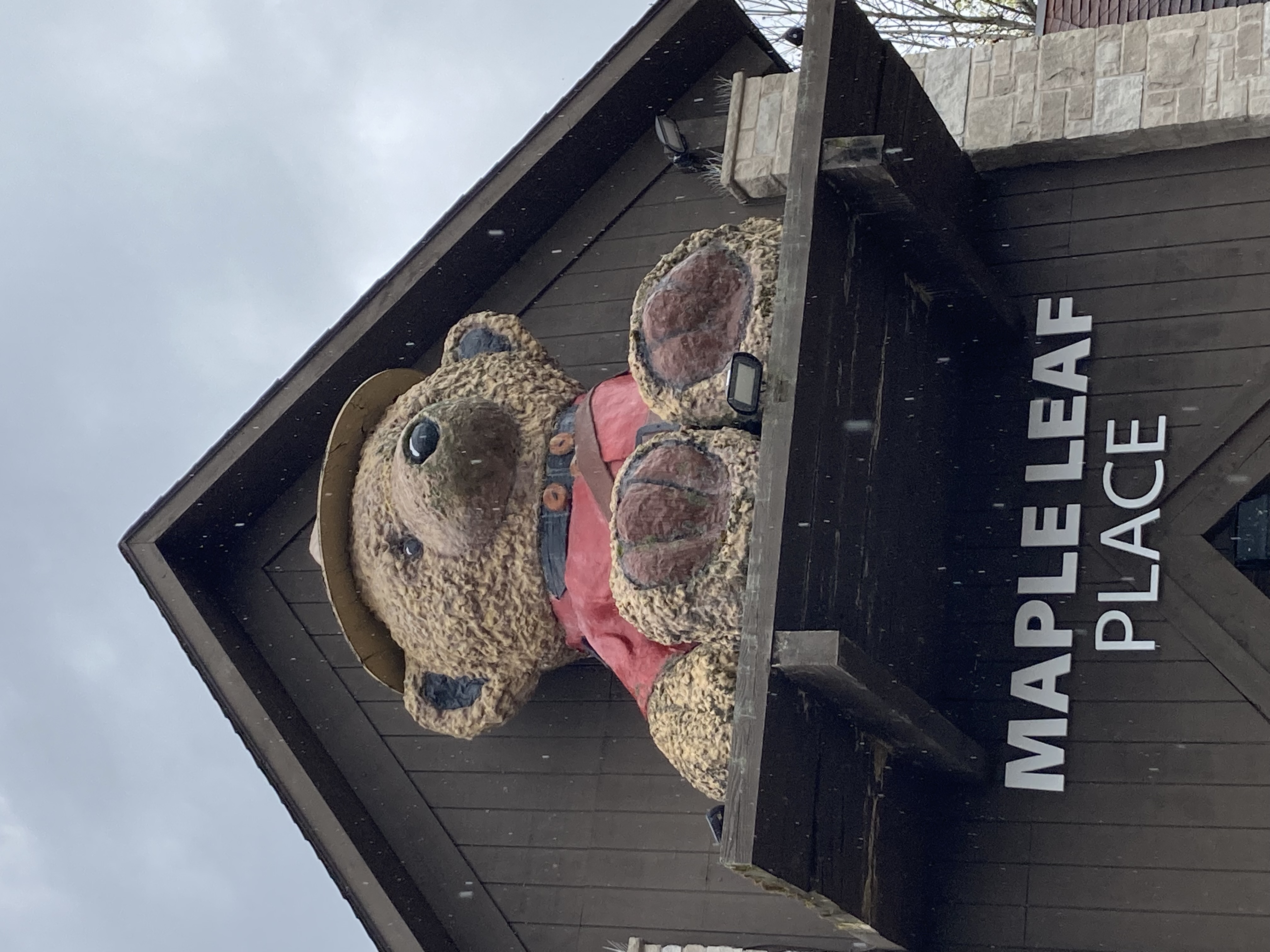 Teddybear - Niagara Falls, Ontario