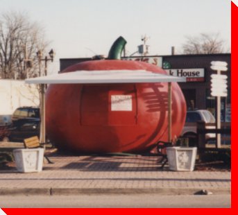 http://www.roadsideattractions.ca/tomato.jpg