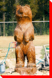 Bear - Tumbler Ridge, British Columbia