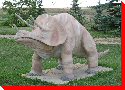 Triceratops - Drumheller, Alberta