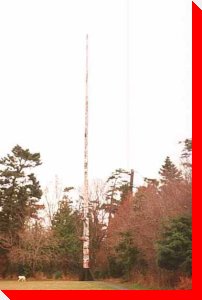 World's Tallest Totem Pole (From a Single Tree) - Victoria, British Columbia