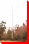 World's Tallest Totem Pole (From a Single Tree) - Victoria, British Columbia