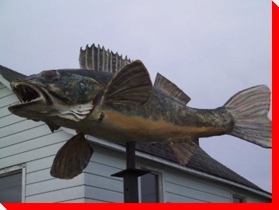 Fish (Waldo the Great) - Upsala, Ontario