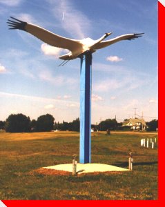 Walter the Whooping Crane - Govan, Saskatchewan