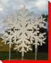 Snowflake - Wawota, Saskatchewan