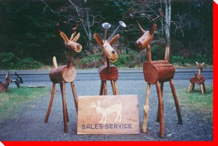 Waynedeer - Quadra Island, British Columbia