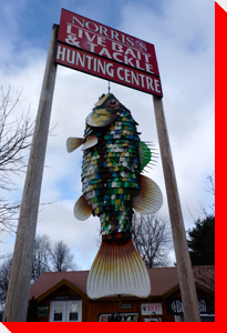 Speckled Trout - Westport, Ontario