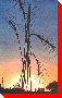 Wheat Sculptures - Weyburn, Saskatchewan