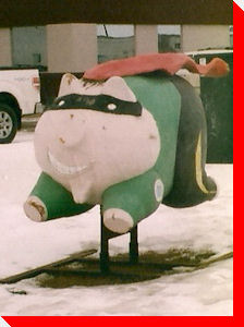 When Pigs  Fly - Saskatoon, Saskatchewan
