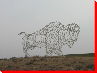 Buffalo - Borden, Saskatchewan
