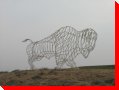 Buffalo - Borden, Saskatchewan