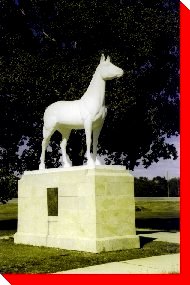 The White Horse - St. Francois Xavier, Manitoba