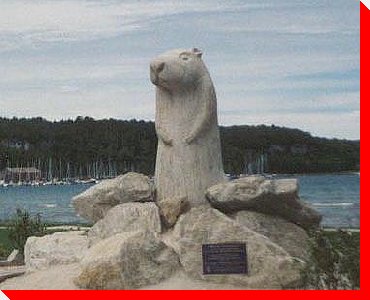 Wiarton Willie - Wiarton, Ontario