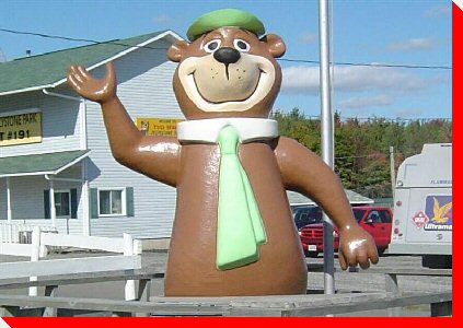 Yogi Bear - Woodstock, New Brunswick