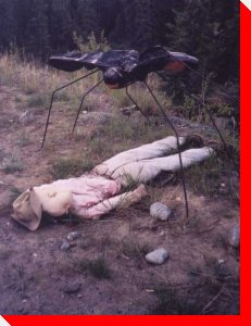 Mosquito and Man - Whitehorse, Yukon
